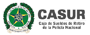 Casur-Logo-1.png